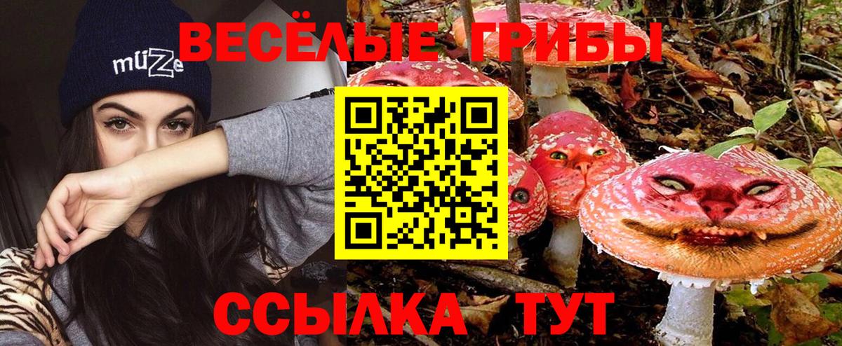 Галлюциногенные грибы Psilocybine cubensis  Вход с VPN  Нижний Тагил 